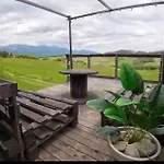 Sidehill - Zazitkove V Prirode