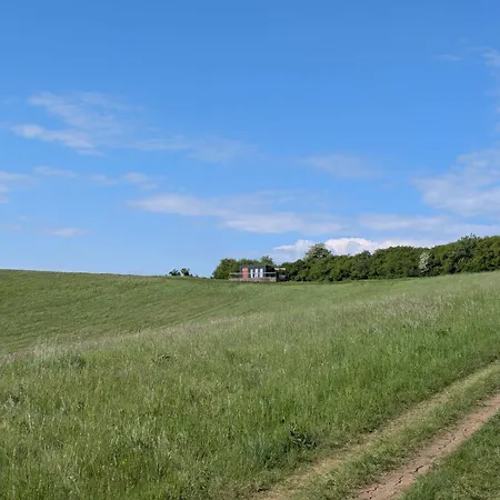 Kemp Sidehill - Zazitkove V Prirode